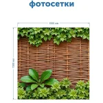 Фото сетка для забора дранка – уютный уголок природы у вас во дворе