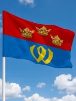 Флаг Выборгский района