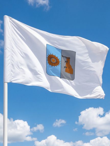 Флаг Боровичский района 100х150 см флажная сетка