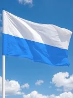 Флаг Мошенской муниципальный округ