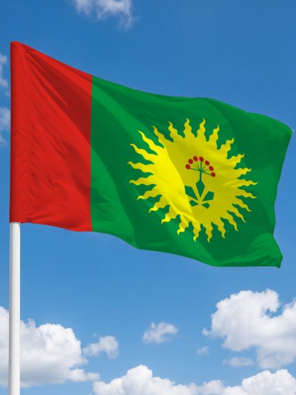 Флаг Анучинский муниципальный округ 100х150 см флажная сетка