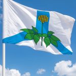 Флаг Дальнереченский муниципальный района