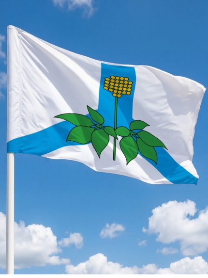 Флаг Дальнереченский муниципальный района 100х150 см флажная сетка