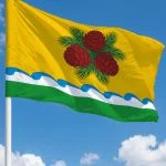 Флаг Чойский район