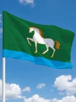 Флаг Абзелиловский район
