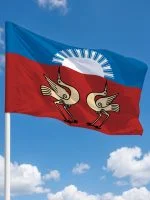 Флаг Буздякский район