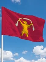 Флаг Мишкинский район