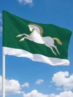 Флаг Учалинский район