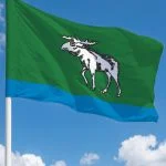 Флаг Федоровский район
