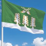 Флаг Шаранский район