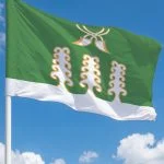 Флаг Шаранский район