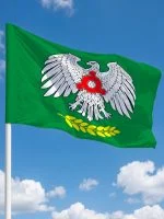 Флаг Город Назрань (городской округ)