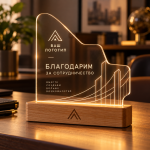 Фигурный акрилайт с логотипом — изображение 2