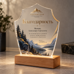 Фигурная награда с подсветкой — изображение 3